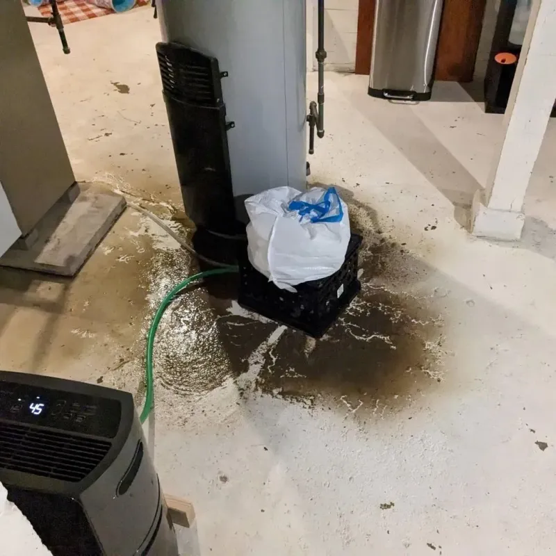 Sewage Backup Cleanup Service in Elkton, KY